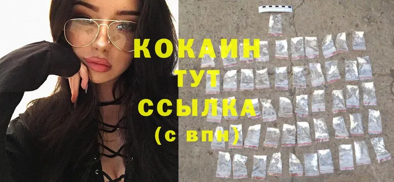 COCAIN Fish Scale  блэк спрут как зайти  Андреаполь 